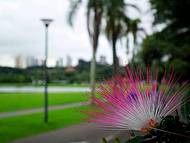 As cores do Parque na cidade ecolgica