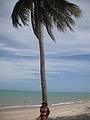 Praia de Carro Quebrado.