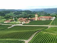Vale dos vinhedos -Vinicola Miolo