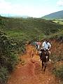 Cavalgada nos Campos de Penedo: Belas paisagens.