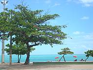 Praia de Pajuara: Azul do Cu, azul do mar!
