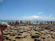 Corais, Piscinas Naturais