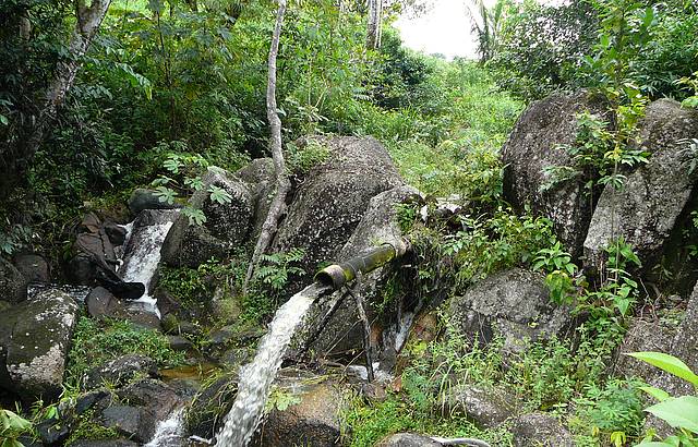 Bicas de gua refrescantes