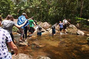 Parque Estadual da Serra do Mar - Ncleo Caraguatatuba